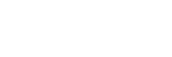 bGenius – A Kinesso Company